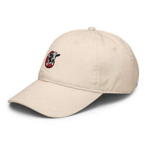 Champion dad hat