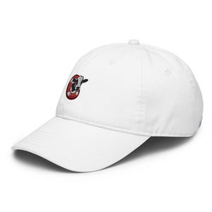 Champion dad hat